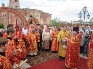 IMG_6587