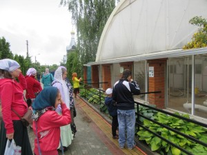 IMG_0051