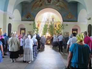 Изображение 251