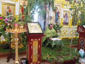 Изображение 271